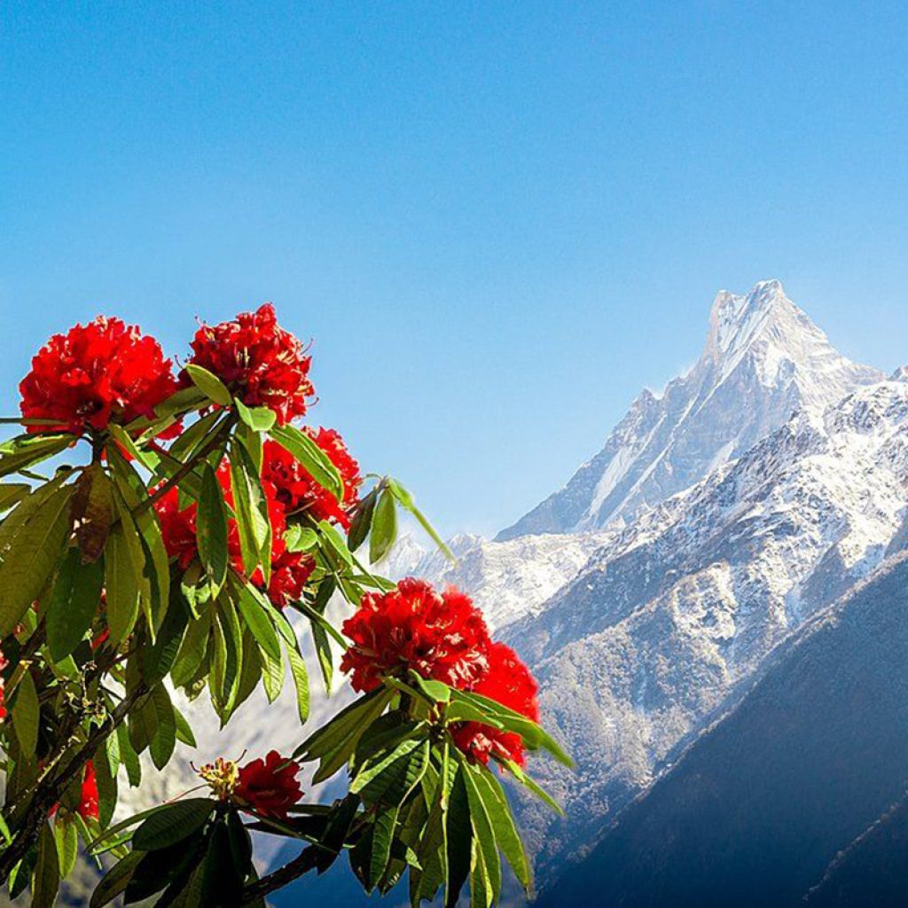 visit-nepal-with-kalapatthar-treks