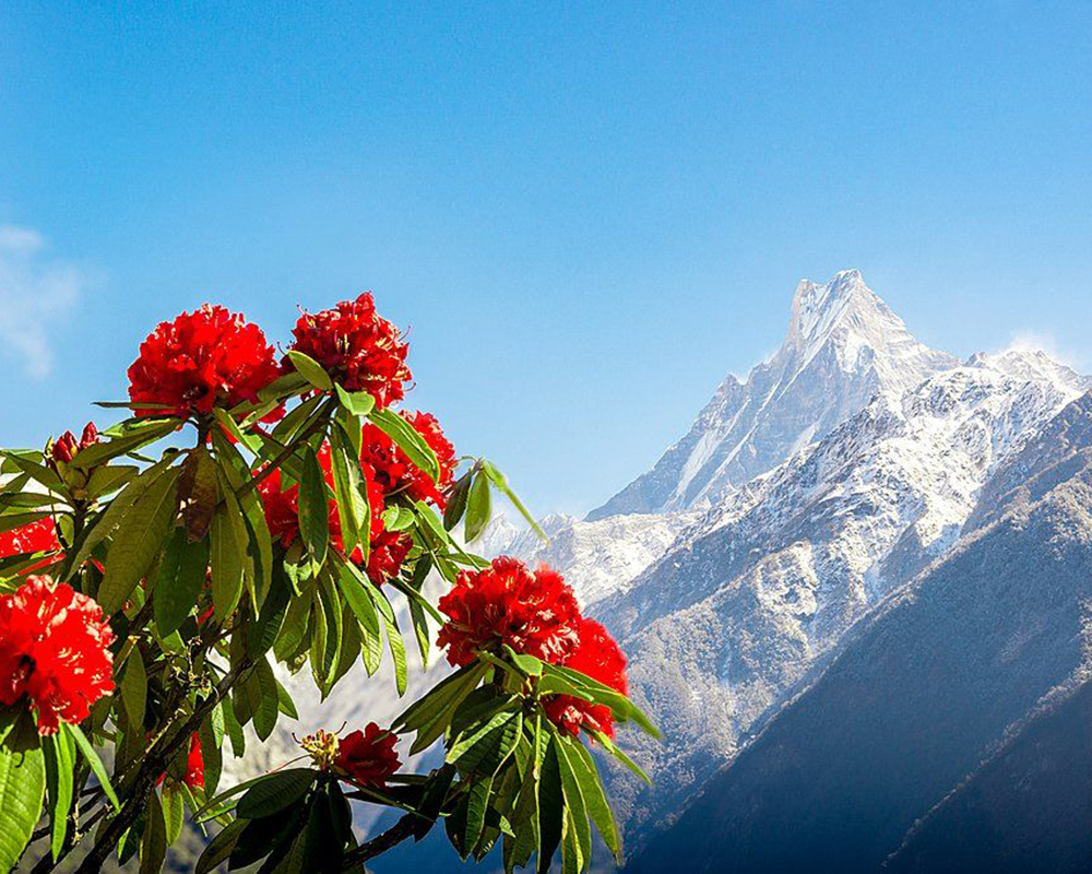 visit-nepal-with-kalapatthar-treks