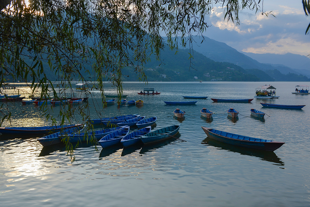 pokhara-phewa-lake-boats-nepal